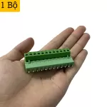Terminal Block 12Pin 5.08 Chân Thẳng Loại Kín
